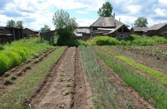 Чи можуть забрати ваш город у воєнний час: Відповідь, яку не всі очікують