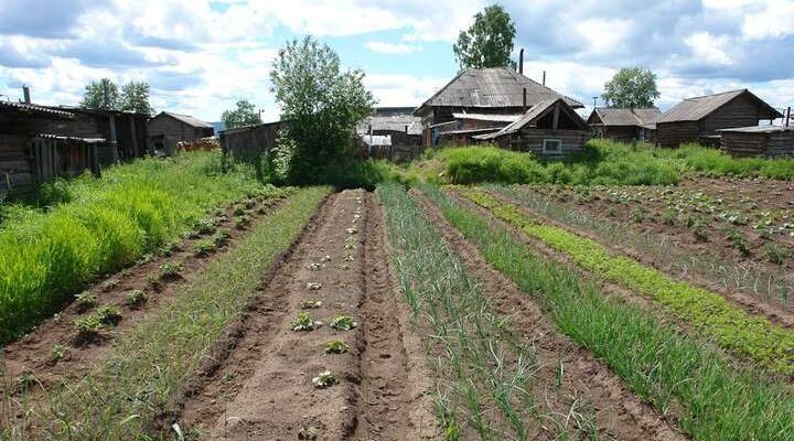 Чи можуть забрати ваш город у воєнний час: Відповідь, яку не всі очікують