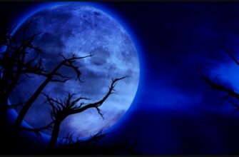 Гроші, кохання й доленосні рішення: гороскоп на 19 грудня 2025 року переверне плани напередодні вихідних