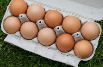 Ми їх для смаку, а вони лише усе псують: ось які яйця не варто купувати на новорічні салати 2026