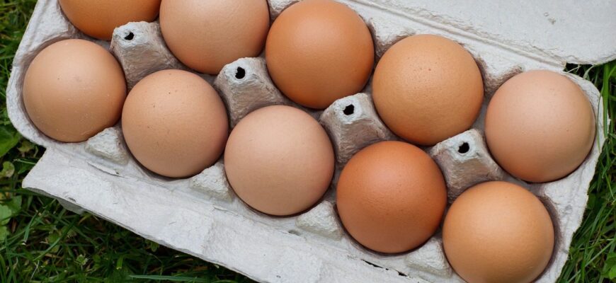 Ми їх для смаку, а вони лише усе псують: ось які яйця не варто купувати на новорічні салати 2026