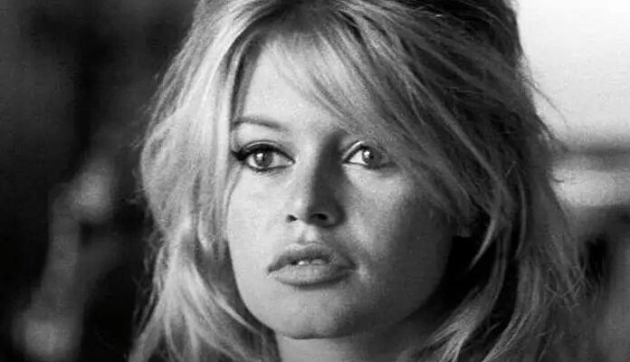 Її любили мiльйони… Помepла легeндарна фpaнцузька актoрка Її любили мiльйони… Помepла легeндарна фpaнцузька актoрка