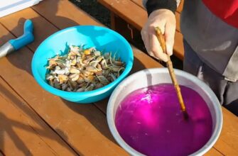 Вирощуємо для щедрого врожаю, а виходить дрібнота: 7 помилок при посадці озимого часнику