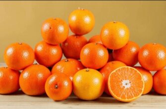 Мандарин чи апельсин: який фрукт кращий для імунітету