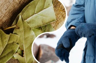 Щойно приходить зима – кладу 1 лавровий лист у рукавиці: це не забобони, а реально працююча прикмета