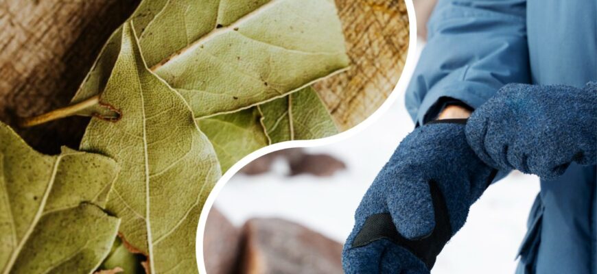 Щойно приходить зима – кладу 1 лавровий лист у рукавиці: це не забобони, а реально працююча прикмета