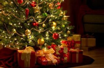 Не робіть помилок! Де не можна ставити живу ялинку – швидко обсиплеться