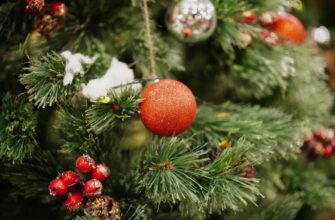 Щоб ялинка стояла в квартирі всі 30 днів і не осипалася: я обприскую її 2 рази на тиждень 1 диво-розчином