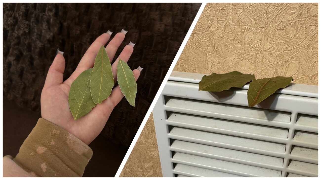 Господині розповіли, як покращити сон за допомогою лавового листа 