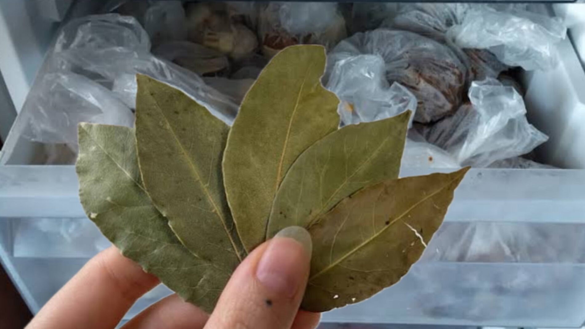 Експерти розповіли, як використовувати спеції в побуті