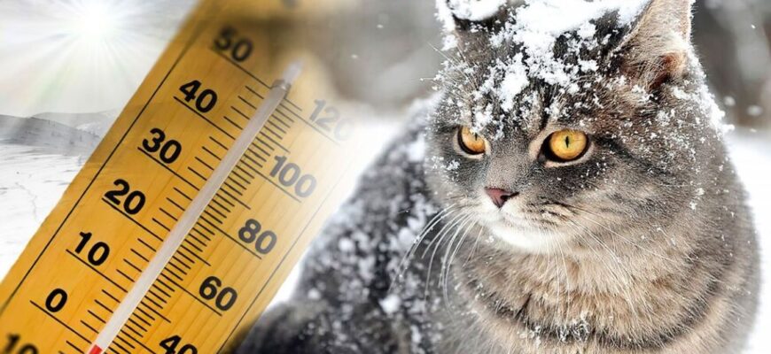 Прогноз погоди: де в Україні на вихідних буде сніг, а в яких регіонах збережеться тепло