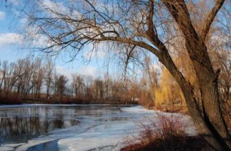 Мороз до -5 градусів вдарить на Рівненщині
