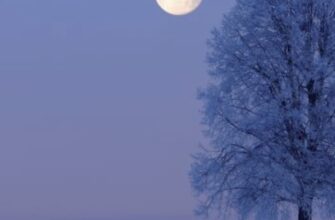 Кому Повня у грудні принесе несподівані гроші: астрологи назвали ТОП-3 знаки