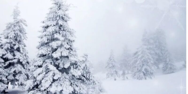 Сніг та морози? Синоптики розповілu, якою буде погода в Україні на Новий рік.