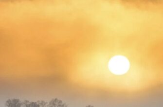 День зимового сонцестояння 2025 року: коли буде найдовша ніч року, чим вона особлива