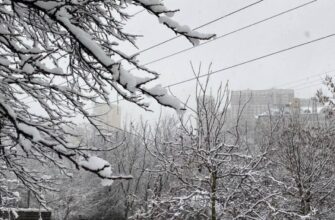 В Україну повертається сніг та мороз: названа дата нового похолодання