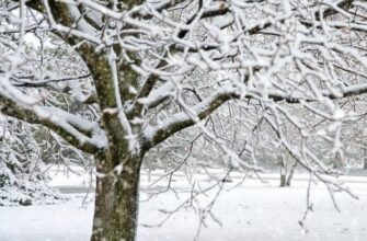 На регіони обрушиться шторм: синоптики зробили несподіваний прогноз