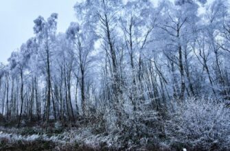 До України суне похолодання: де вдарить мороз і засипле снігом