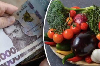 Популярний овоч стрімко дорожчає через дефіцит – ціни за кілька днів злетіли на 10%