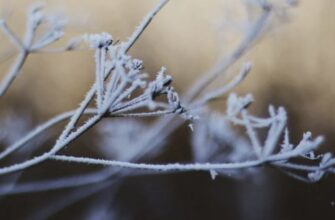 День ангела 14 грудня: кого та як вітати з іменинами