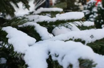 Україну чекають неприємні сюрпризи від погоди: де засипле мокрим снігом