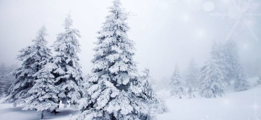 Сніг та морози? Синоптики розповіли, якою буде погода в Україні на Новий рік