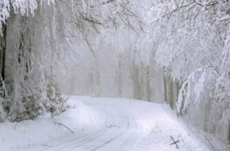 “Похолодання накриє Україну на цілий тиждень, рине снігопад”: синоптики сказали, де чекати на мороз у -18 градусів (ВІДЕО)