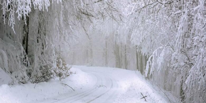 “Похолодання накриє Україну на цілий тиждень, рине снігопад”: синоптики сказали, де чекати на мороз у -18 градусів (ВІДЕО)
