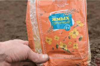 Гній мені більше не потрібний! Просто сиплю ЦЕЙ пахучий порошок на грядки і земля, як нова