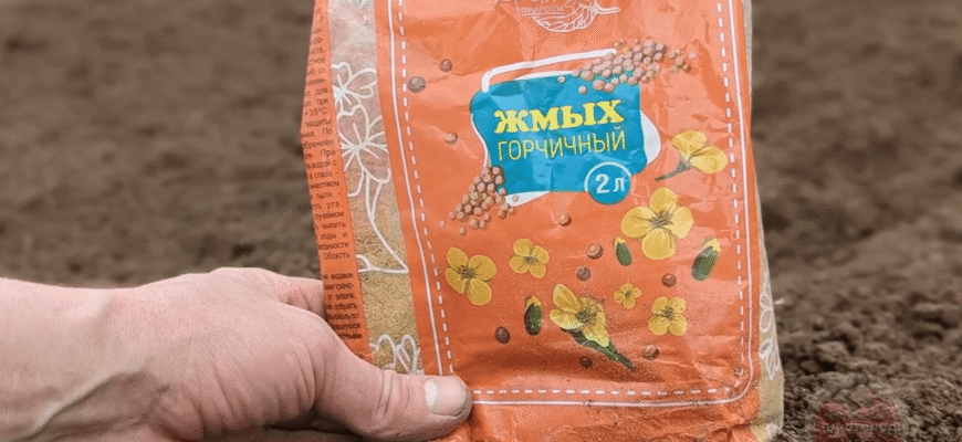 Гній мені більше не потрібний! Просто сиплю ЦЕЙ пахучий порошок на грядки і земля, як нова