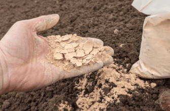 Краще за золу та компост у 10 разів: у лютому 2026 посипте грядки ось цим добривом