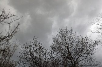 Теплий антициклон не пускає зиму в Україну: синоптики розповіли про погоду 3 грудня