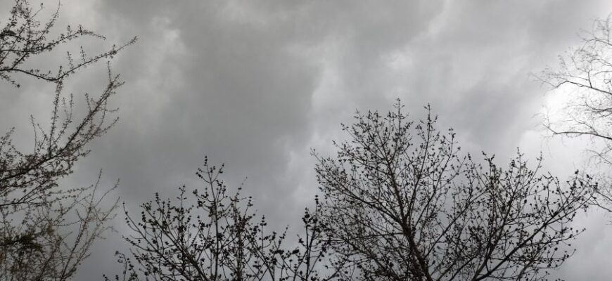 Теплий антициклон не пускає зиму в Україну: синоптики розповіли про погоду 3 грудня