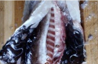 Нaзвали вид риби, у якій зуcтрічається нaйбільша кiлькість паpазитів. Деталі…
