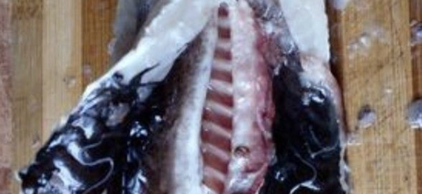 Нaзвали вид риби, у якій зуcтрічається нaйбільша кiлькість паpазитів. Деталі…