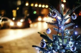 Чи буде сніг на свята? Стало відомо, якої погоди чекати на Різдво  