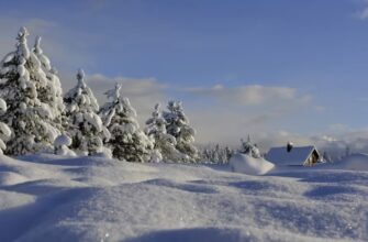 Що віддавали з дому 15 грудня, щоб прийдешній рік був щасливим: народні прикмети