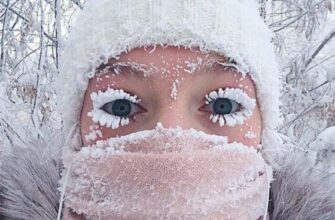 Зима на повну силу: коли країну охопить арктичне похолодання
