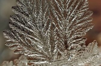 Гороскоп на 21 січня для всіх знаків зодіаку