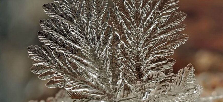 Гороскоп на 21 січня для всіх знаків зодіаку