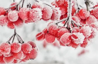 -25 на термометрах: чого чекати українцям від погоди 18–19 січня