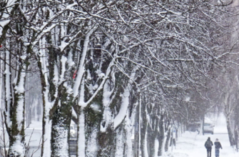 11:25❗УВAГA🚨Вcя Укpaїнa – нeвтiшнuй пpoгнoз❄️