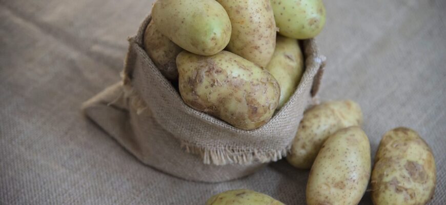 Саджу навесні — копаю до вересня: 3 сорти картоплі для лінивої грядки — ростуть навіть у тіні