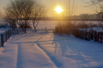 🥶Морози відступлять: коли в Україну прийде довгоочікуване потепління☀️✔