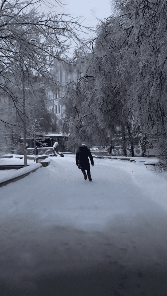 На ковзанах по Пейзажній алеї / Фото: соціальні мережі