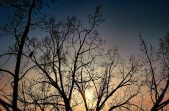 30-31-го січня в Україну почне заходити нова повітряна маса арктичного походження із черговим похолоданням, – синоптик