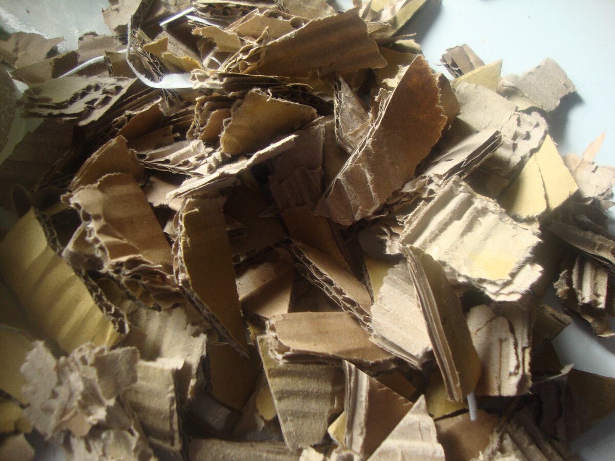 Городники розповіли про простий спосіб боротьби з бур'янами