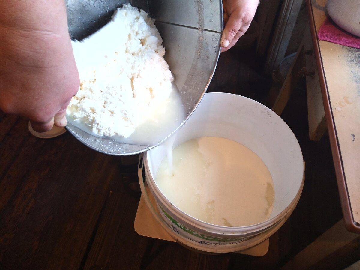 Експерти розповіли про спосіб, який допоможе перевірити вершки на наявність пальмової олії