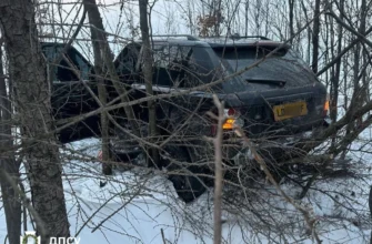 “Шок на кордоні! Range Rover прорвався до Румунії та збив прикордонника — подробиці”