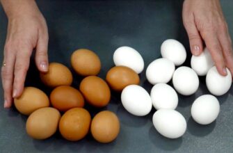 Яйця не смажу і не варю: розбиваю 2 у мисочку – і готую незвичайним способом, як радила кума